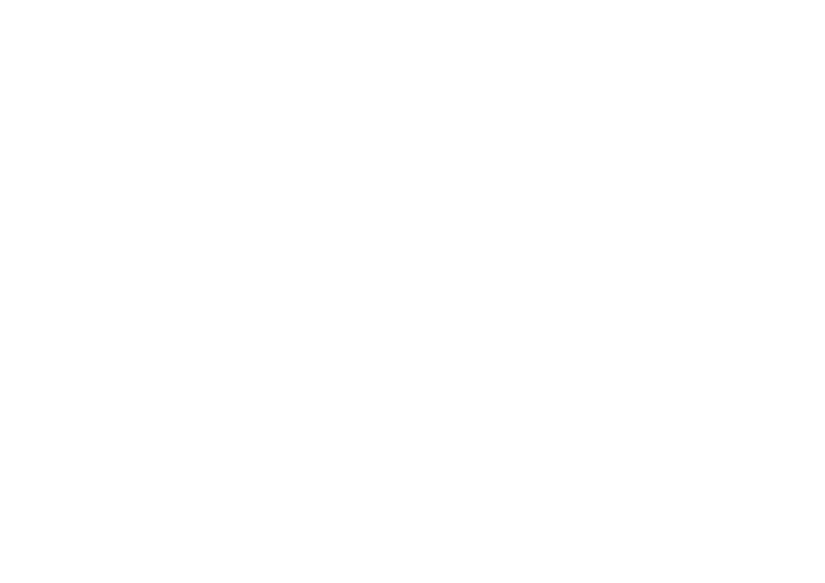 c n plumbing logo upscaled white